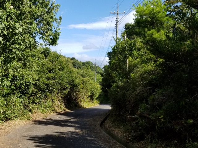 前島展望台への道の草刈り(続き)_after