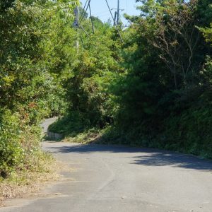 20180827_マンボウ廃墟南草刈り_after